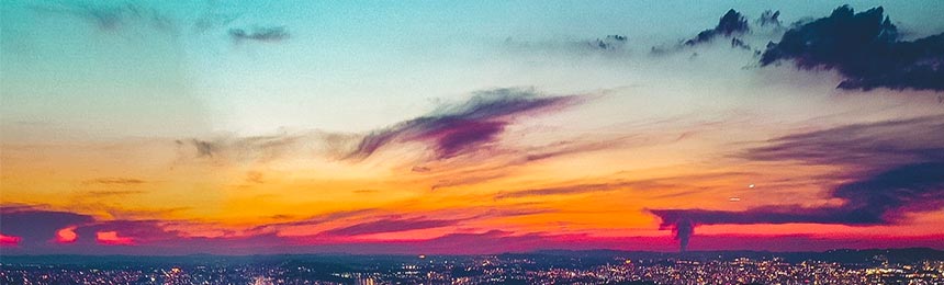 铜川茶虫网_铜川品茶